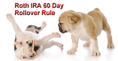 Roth IRA 60 Day Rollover Rule